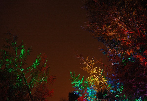 Image illuminated by multicoloured LEDs. (c) Kyle Clements, 2010. cc-by-nc-sa